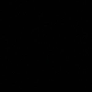 Meet your Posher, Lora